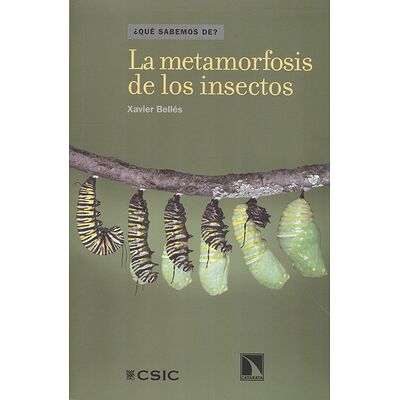La metamorfosis de los...