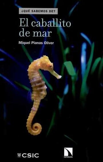 El caballito de mar