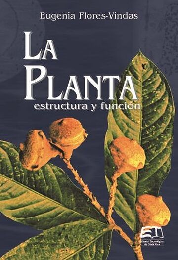 La planta: estructura y...