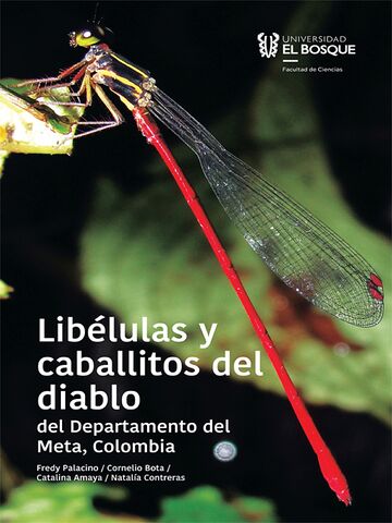Libélulas y caballitos del...
