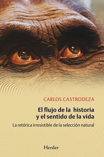 El flujo de la historia y...