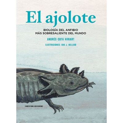 El ajolote