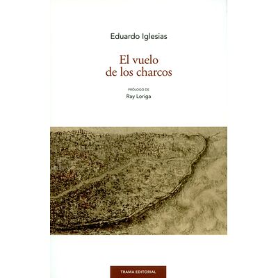 El vuelo de los charcos