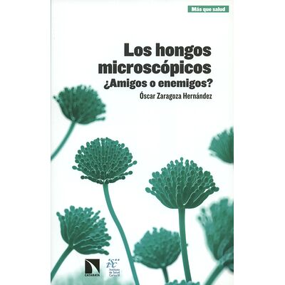 Los hongos microscópicos....