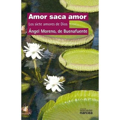 Amor saca amor