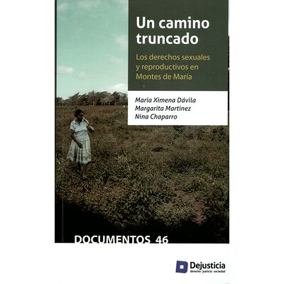 Un camino truncado. Los...