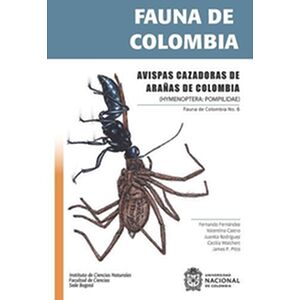 Fauna de Colombia: Avispas...