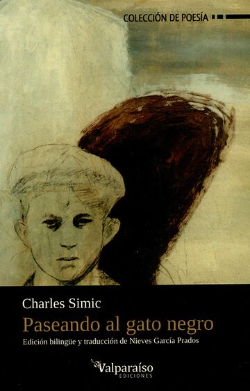 Paseando al gato negro