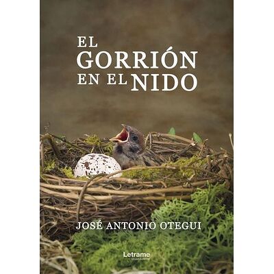 El gorrión en el nido