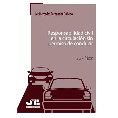 Responsabilidad civil en la...