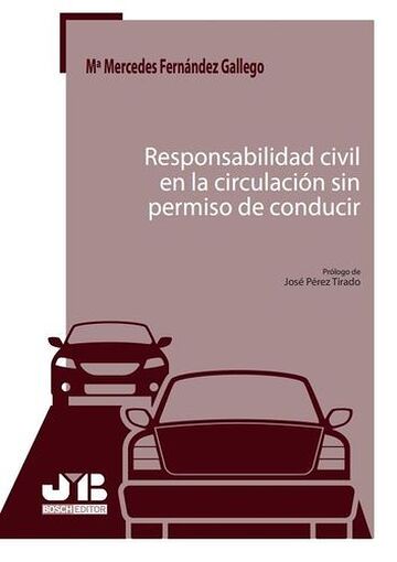 Responsabilidad civil en la...