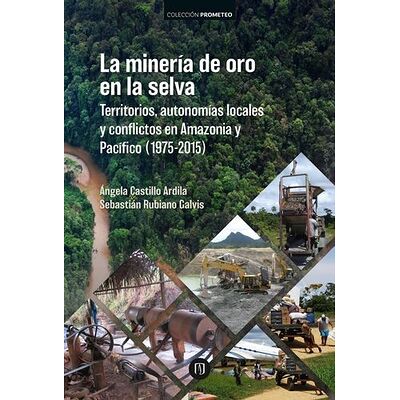 Minería de oro en la selva, La