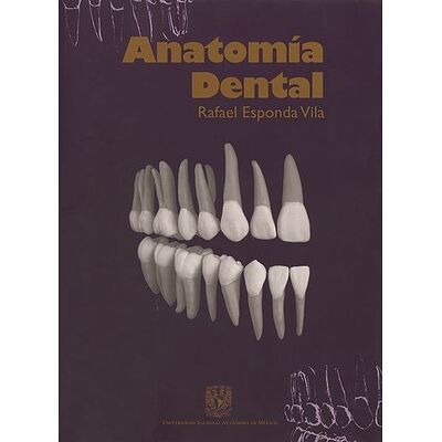 Anatomía dental