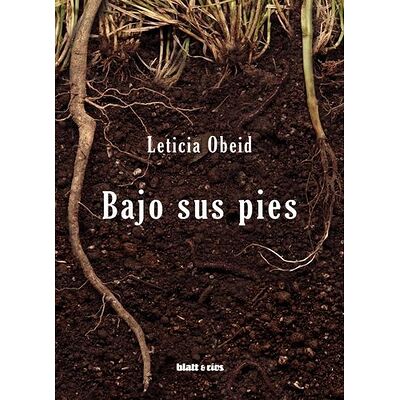 Bajo sus pies