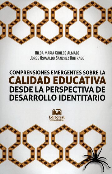 Comprensiones emergentes...