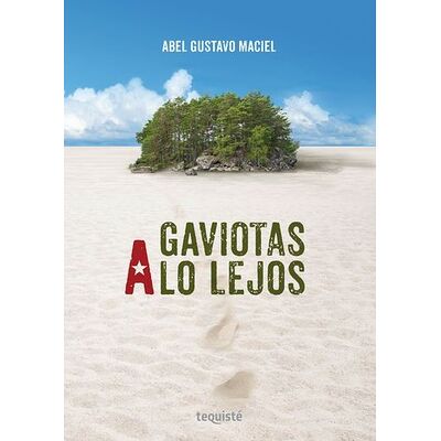 Gaviotas a lo lejos