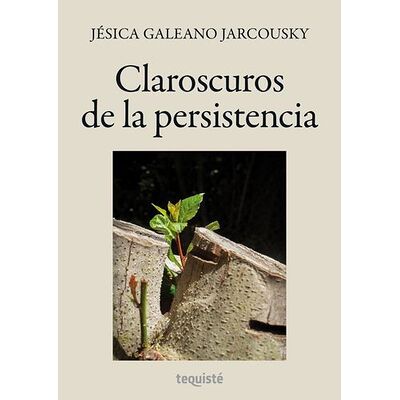 Claroscuros de la persistencia