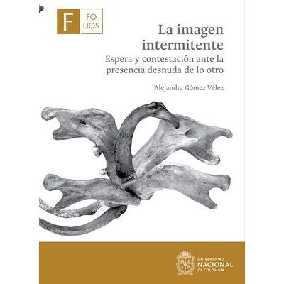 La imagen intermitente