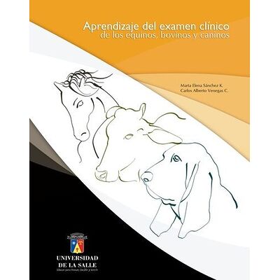 Aprendizaje del examen...