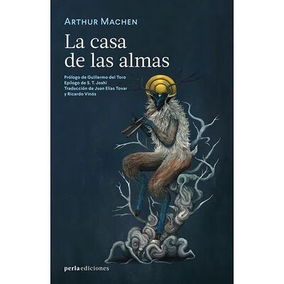 La casa de las almas
