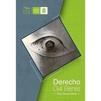 Derecho civil bienes