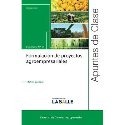 Formulación de proyectos...
