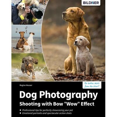 Dog Photography