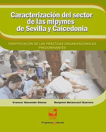 Caracterización del sector...