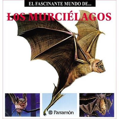 Los Murciélagos