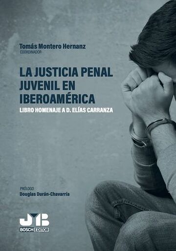 La justicia penal juvenil...