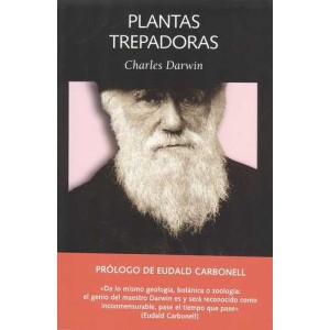 Plantas trepadoras