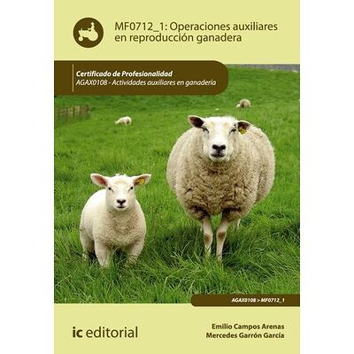 Operaciones auxiliares en...