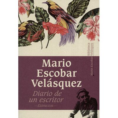 Diario de un escritor....
