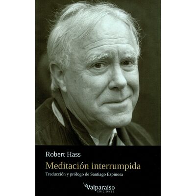 Meditación interrumpida