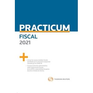 Practicum Fiscal 2021