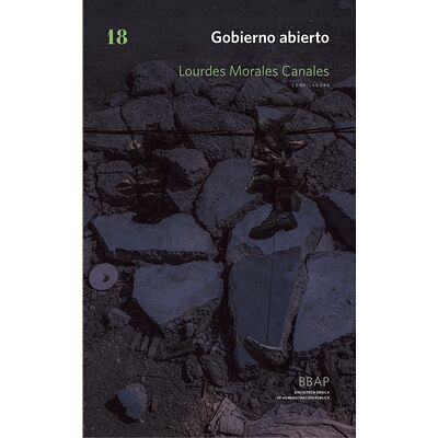 Gobierno abierto