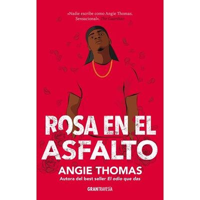 Rosa en el asfalto