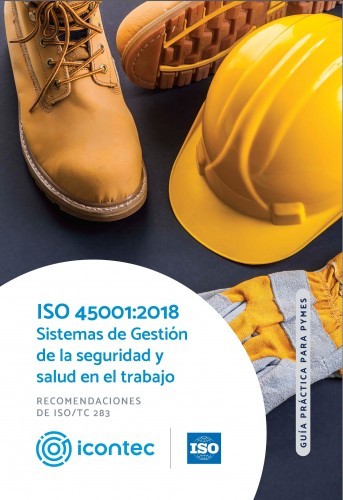 ISO 45001:2018 Sistemas de...