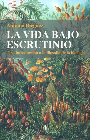 La vida bajo escrutinio....