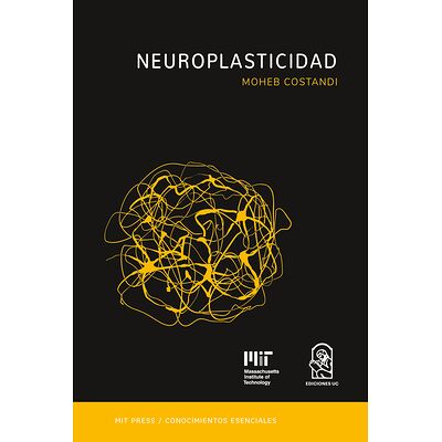 Neuroplasticidad