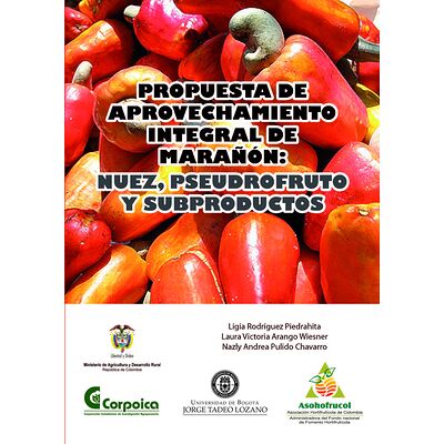 Propuesta tecnológica para...