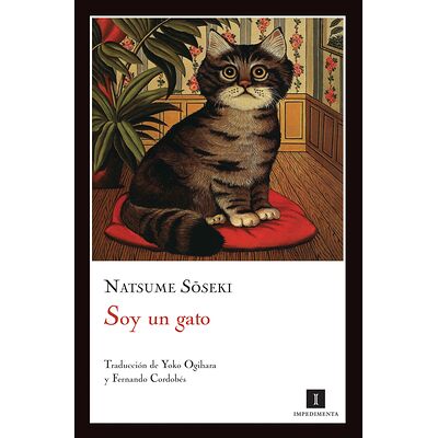 Soy un gato