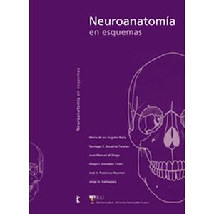 Neuroanatomía en esquemas