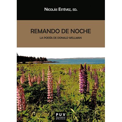 Remando de noche