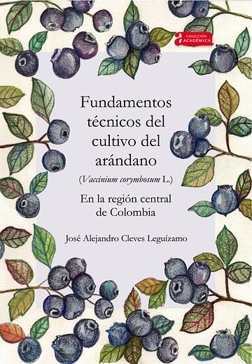 Fundamentos técnicos del...