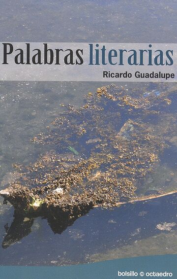 Palabras literarias