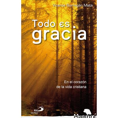 Todo es gracia