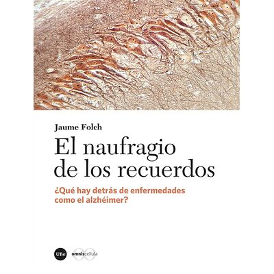 El naufragio de los...