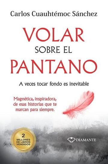Volar sobre el pantano