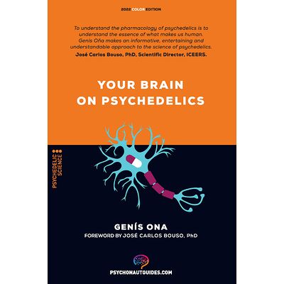 Your brain on psychedelics